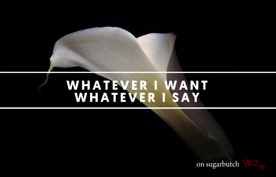 Whatever I Want, Whatever I Say