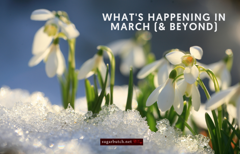 What’s Happening in March (and Beyond): Best Lesbian Erotica Readings!