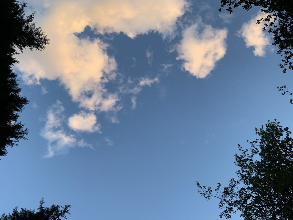 Your Regular Life Continues After This Brief Interruption Sugarbutch