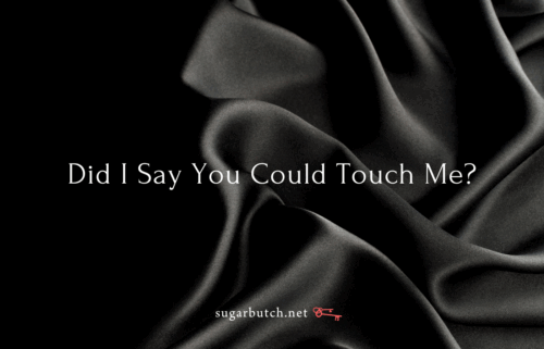 Did I Say You Could Touch Me?