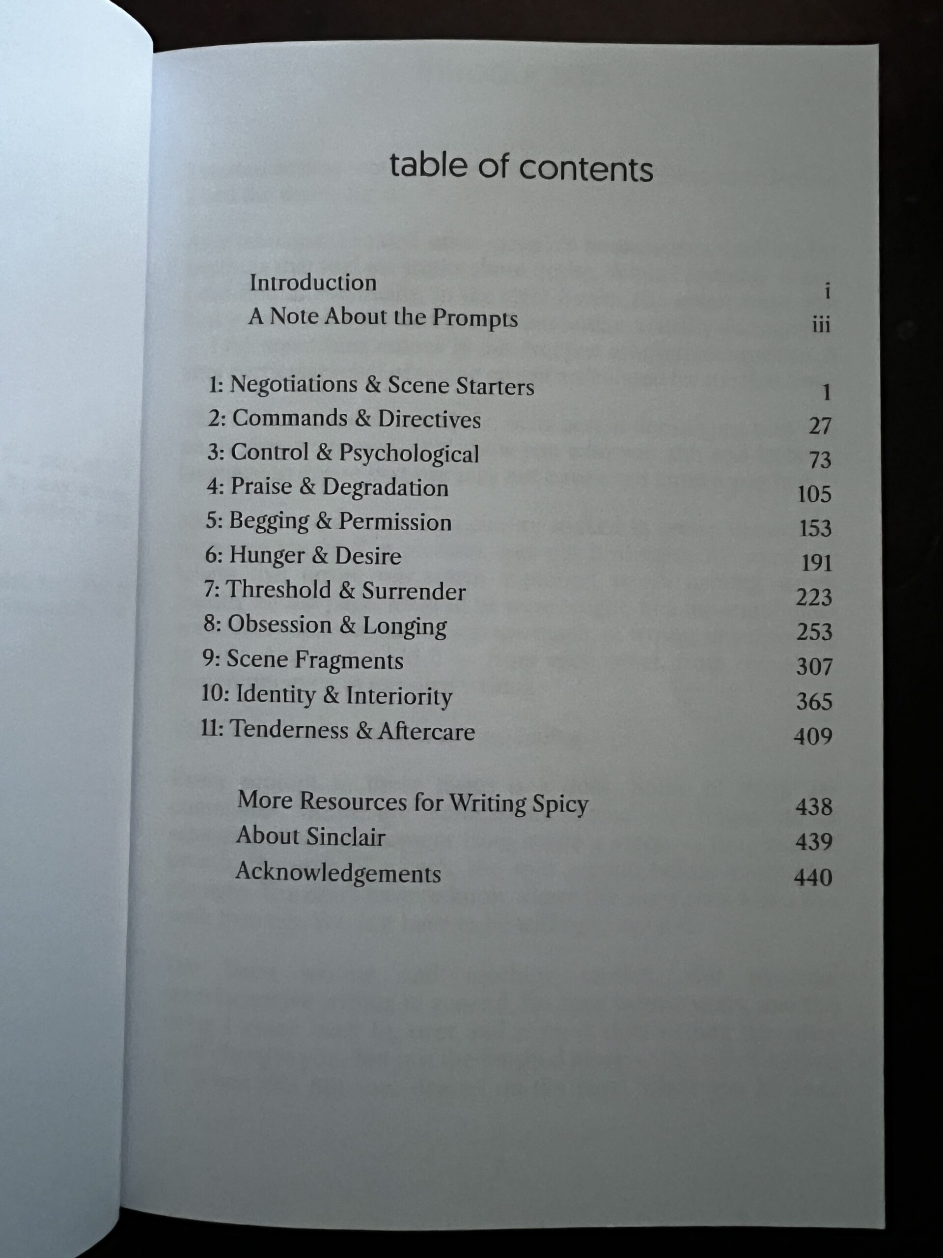 *NEW* The Writing Spicy Prompt Book: 398 D/s Erotica Prompts - Image 4